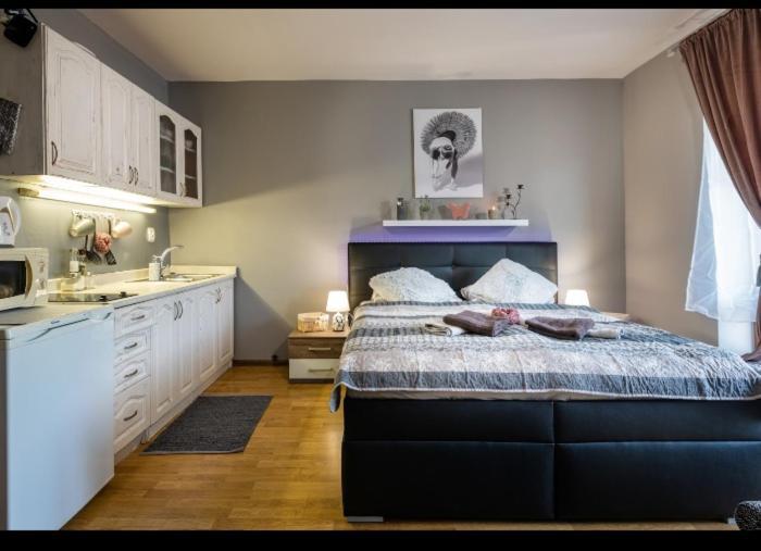 Apartman Zara Superior Liptovský Mikuláš Extérieur photo